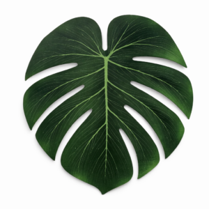 Decorazione sottopiatto. Foglia Tropicale 35cm