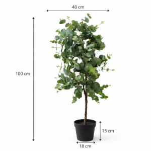 Albero eucalipto con vaso h 110cm