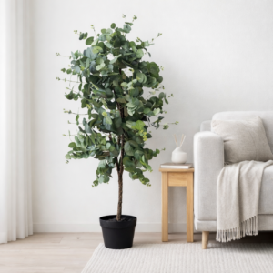 Albero eucalipto con vaso h 110cm