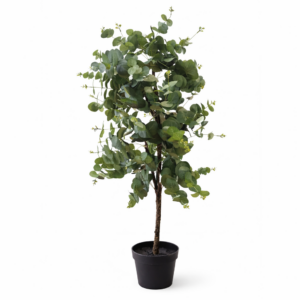 Albero eucalipto con vaso h 110cm