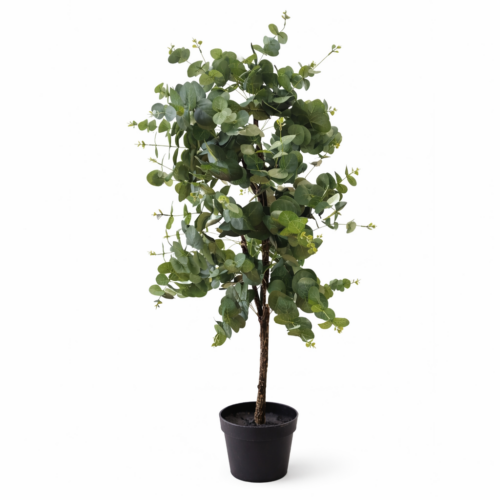 59_ Albero eucalipto con vaso h 110cm