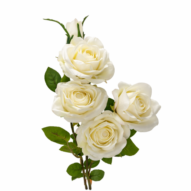 Rose bianche assortite