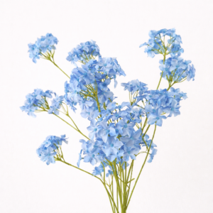 Plumbago